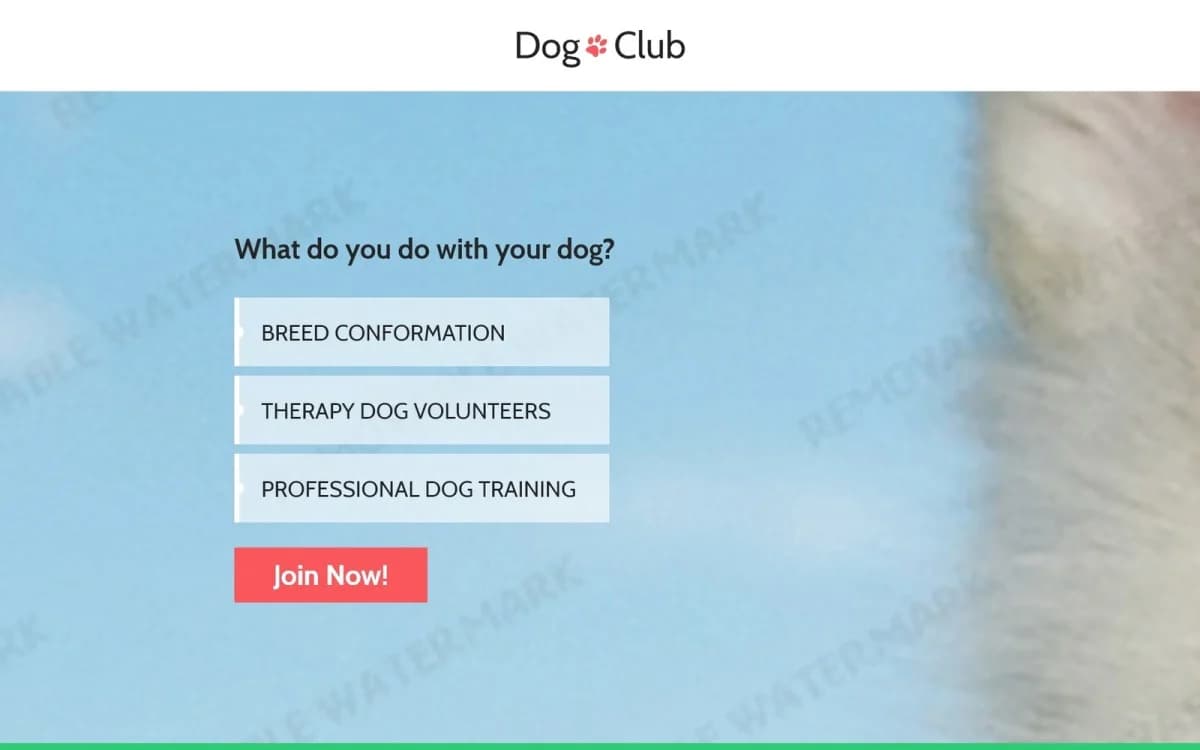 Dog Responsive Landing Page Template