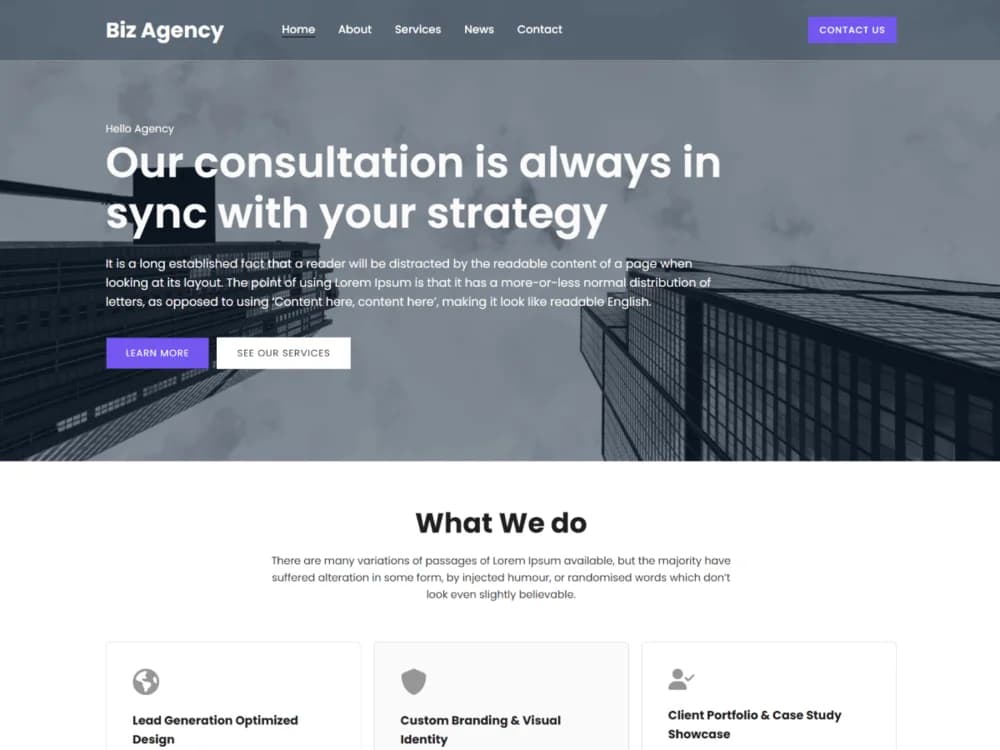 Biz Agency