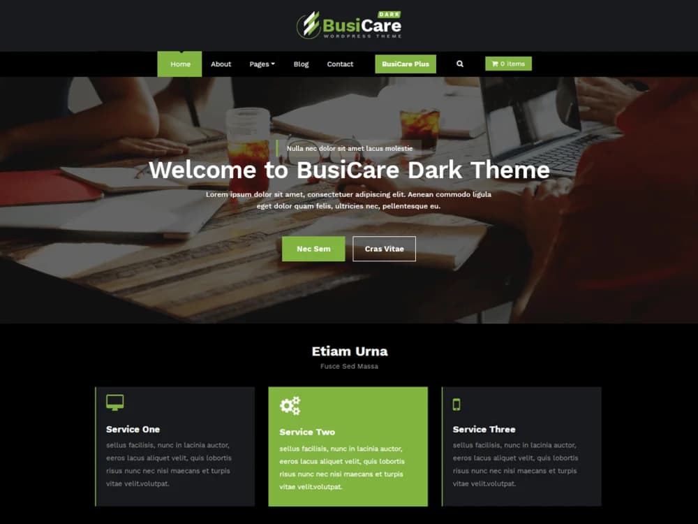BusiCare Dark