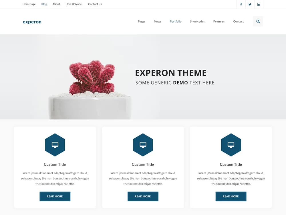 Experon grid