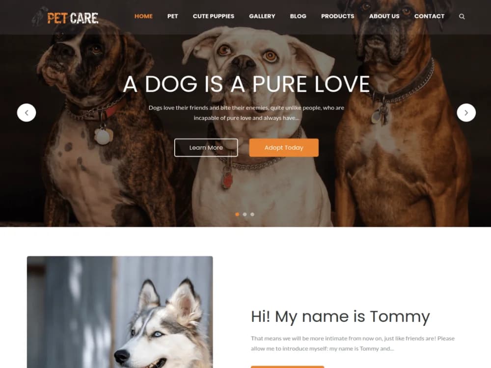 Pet Care