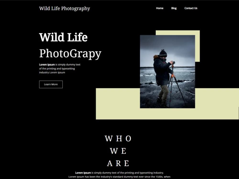 Templazee Wild Life Photography