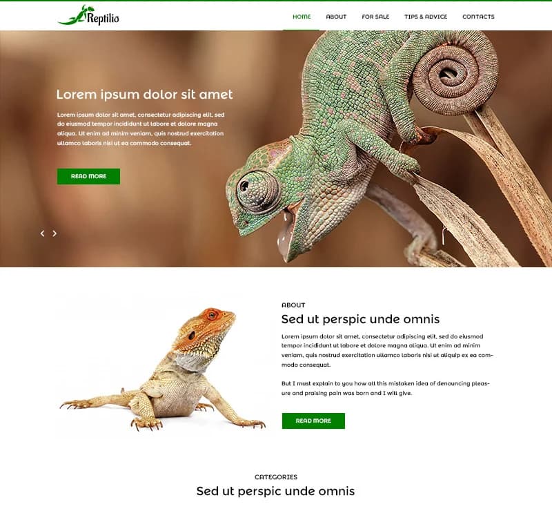 Reptilio - Reptile PSD Template
