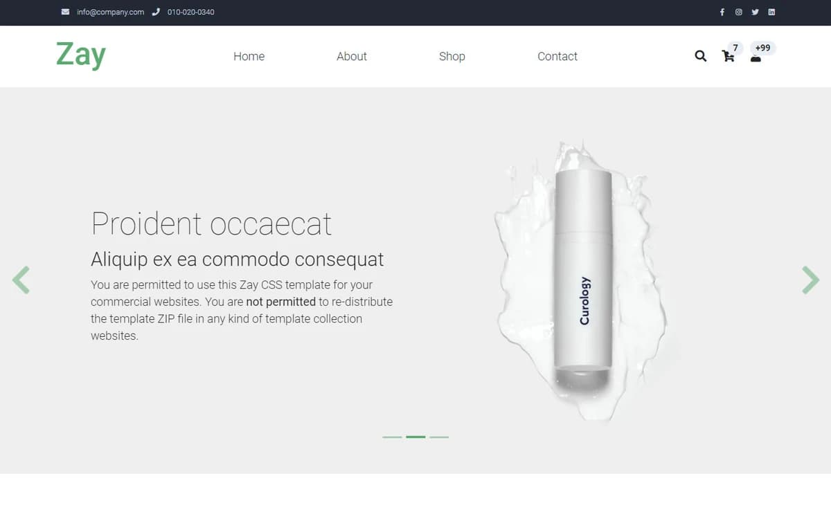 Zay Sho Free HTML Template