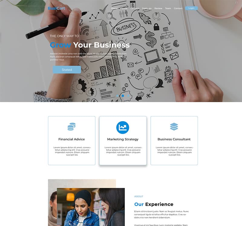 BusiCart - Finance / Consultancy Business PSD Template