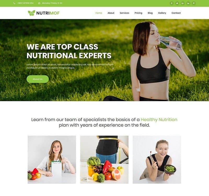 Nutrimof - Nutritional & Health Joomla 5 & 6 Template