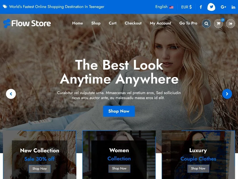 In Store Visit Flow Flow Store — Free WordPress Theme | TemplateWitch — TemplateWitch