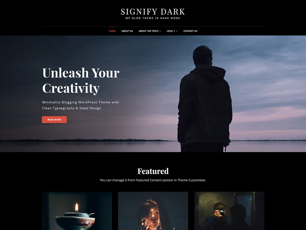 Signify Dark — Free WordPress Theme | TemplateWitch — TemplateWitch
